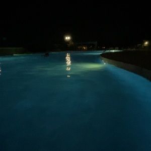 Meet your Posher, Jackson